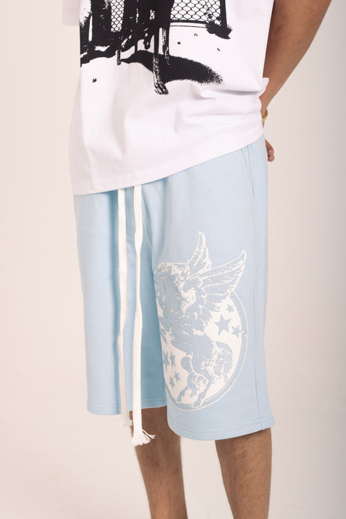 baby blue BLADE short